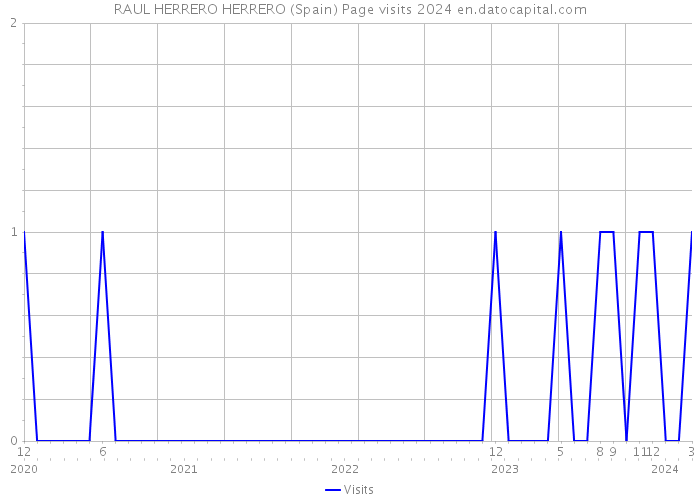 RAUL HERRERO HERRERO (Spain) Page visits 2024 
