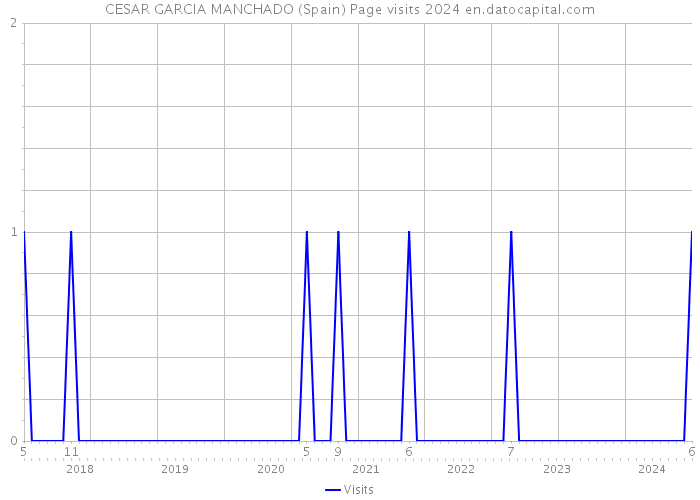 CESAR GARCIA MANCHADO (Spain) Page visits 2024 