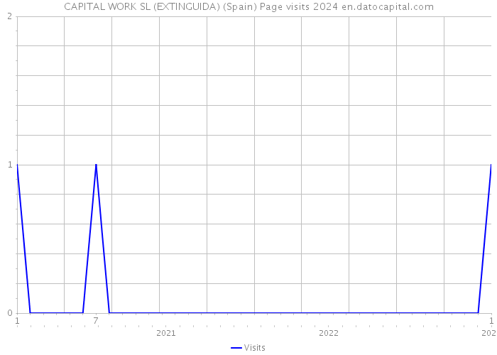 CAPITAL WORK SL (EXTINGUIDA) (Spain) Page visits 2024 
