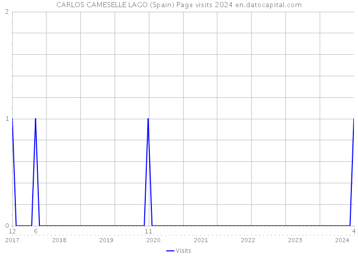 CARLOS CAMESELLE LAGO (Spain) Page visits 2024 