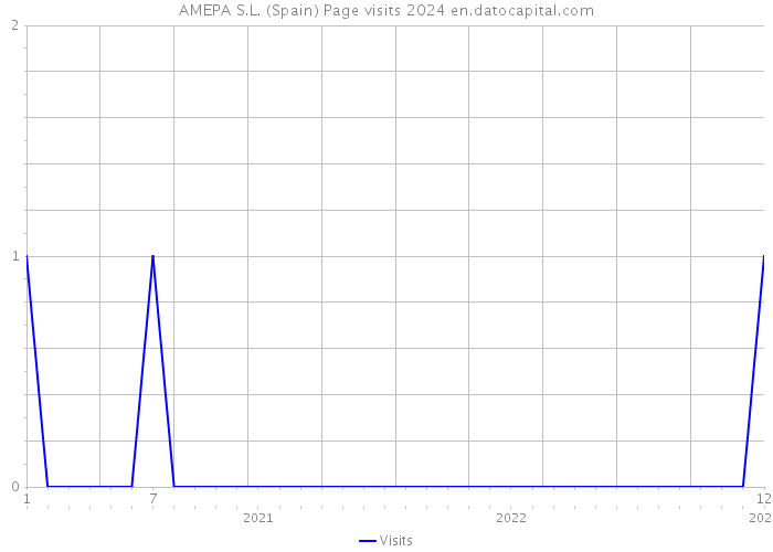 AMEPA S.L. (Spain) Page visits 2024 