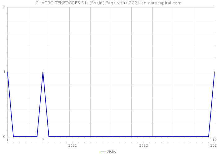 CUATRO TENEDORES S.L. (Spain) Page visits 2024 
