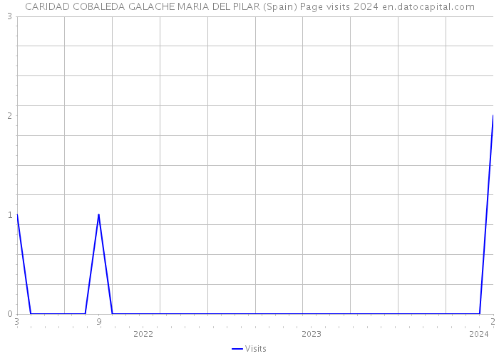 CARIDAD COBALEDA GALACHE MARIA DEL PILAR (Spain) Page visits 2024 