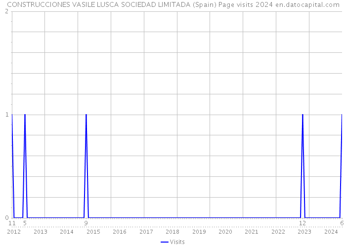 CONSTRUCCIONES VASILE LUSCA SOCIEDAD LIMITADA (Spain) Page visits 2024 