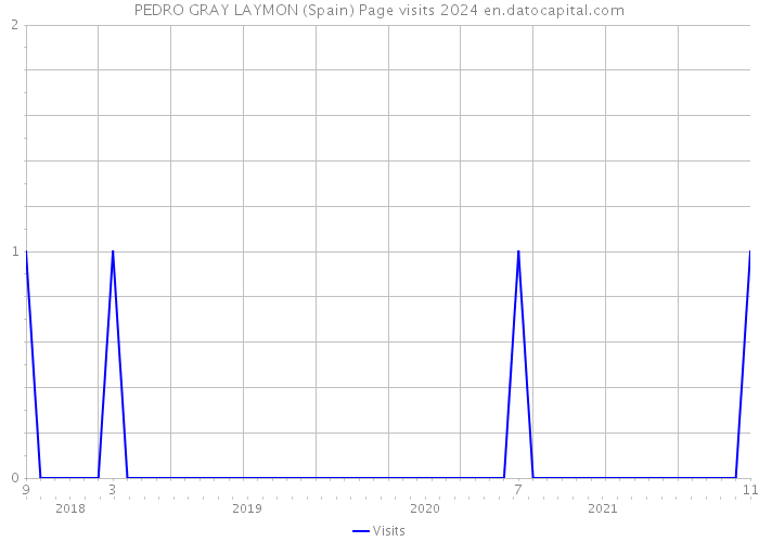 PEDRO GRAY LAYMON (Spain) Page visits 2024 