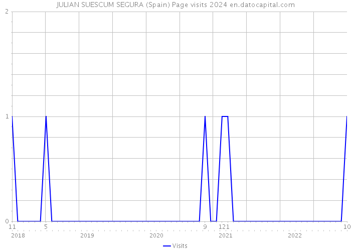 JULIAN SUESCUM SEGURA (Spain) Page visits 2024 