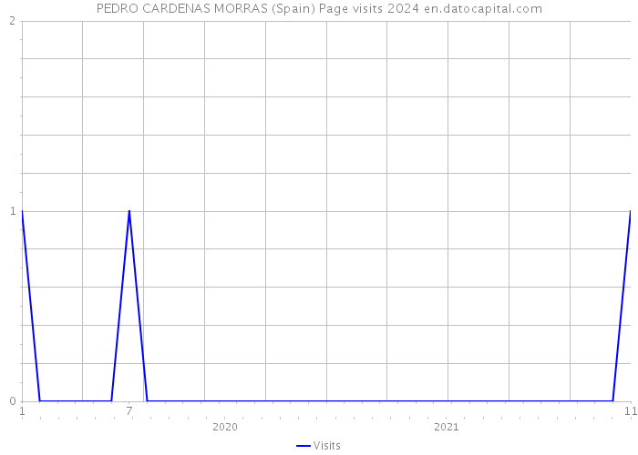 PEDRO CARDENAS MORRAS (Spain) Page visits 2024 