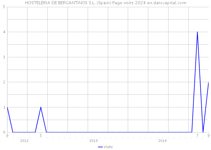 HOSTELERIA DE BERGANTINOS S.L. (Spain) Page visits 2024 