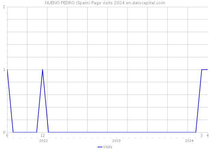 NUENO PEDRO (Spain) Page visits 2024 