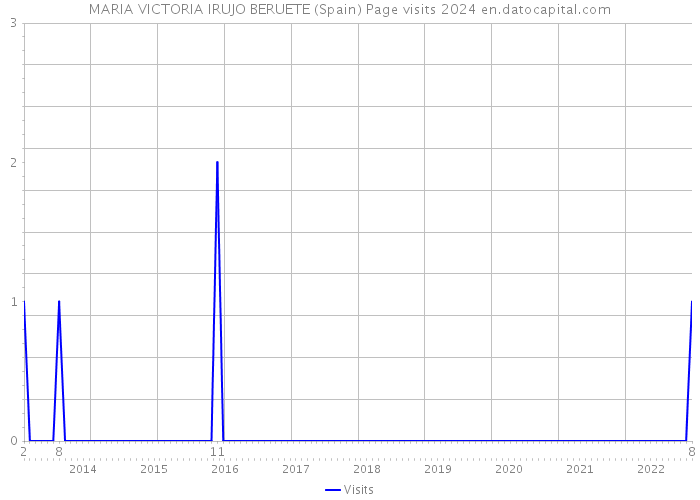 MARIA VICTORIA IRUJO BERUETE (Spain) Page visits 2024 