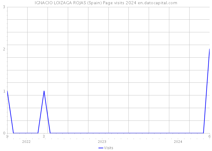 IGNACIO LOIZAGA ROJAS (Spain) Page visits 2024 