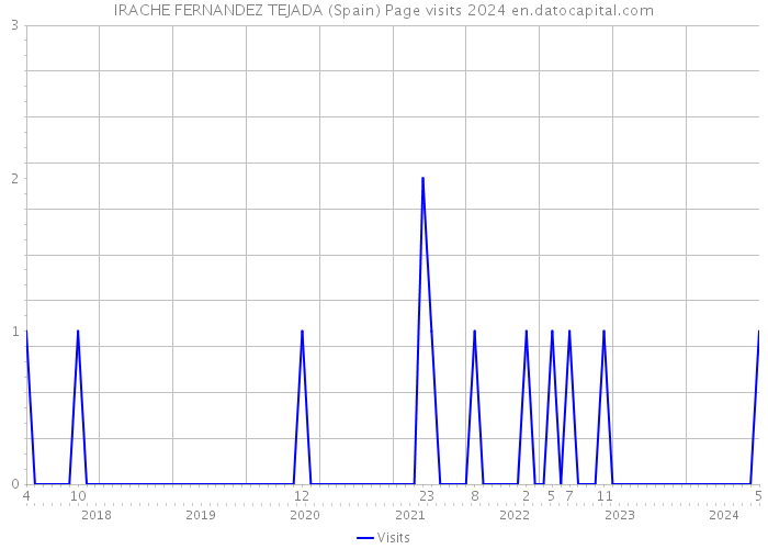 IRACHE FERNANDEZ TEJADA (Spain) Page visits 2024 