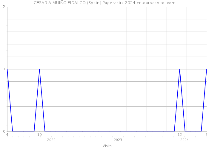 CESAR A MUIÑO FIDALGO (Spain) Page visits 2024 