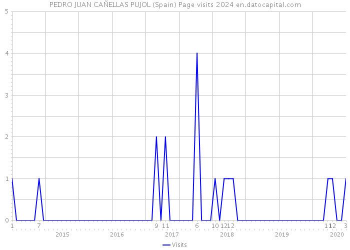 PEDRO JUAN CAÑELLAS PUJOL (Spain) Page visits 2024 