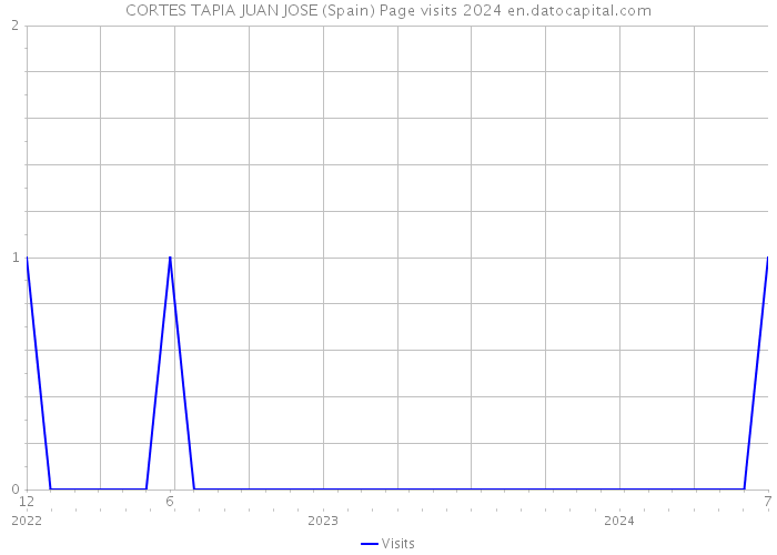 CORTES TAPIA JUAN JOSE (Spain) Page visits 2024 