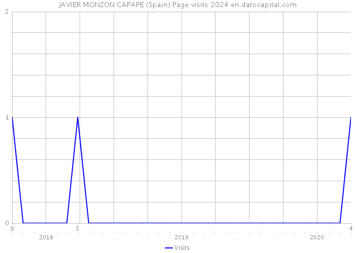 JAVIER MONZON CAPAPE (Spain) Page visits 2024 
