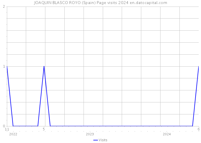 JOAQUIN BLASCO ROYO (Spain) Page visits 2024 