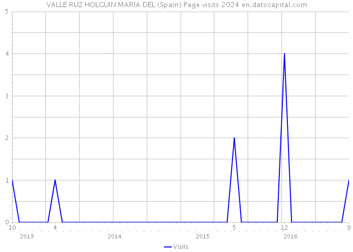 VALLE RUZ HOLGUIN MARIA DEL (Spain) Page visits 2024 