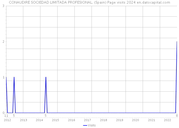 CONAUDIRE SOCIEDAD LIMITADA PROFESIONAL. (Spain) Page visits 2024 