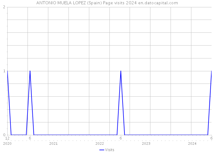 ANTONIO MUELA LOPEZ (Spain) Page visits 2024 