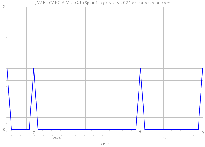 JAVIER GARCIA MURGUI (Spain) Page visits 2024 