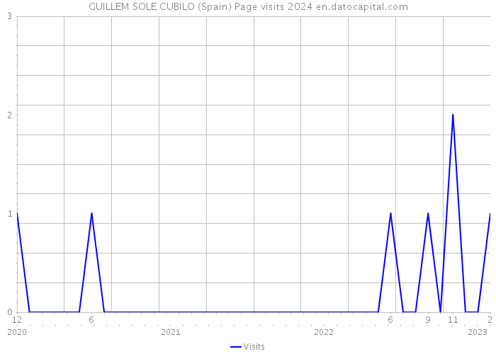 GUILLEM SOLE CUBILO (Spain) Page visits 2024 