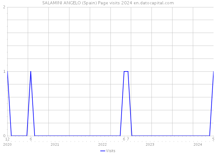 SALAMINI ANGELO (Spain) Page visits 2024 