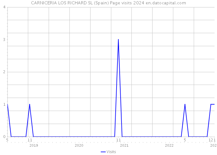 CARNICERIA LOS RICHARD SL (Spain) Page visits 2024 