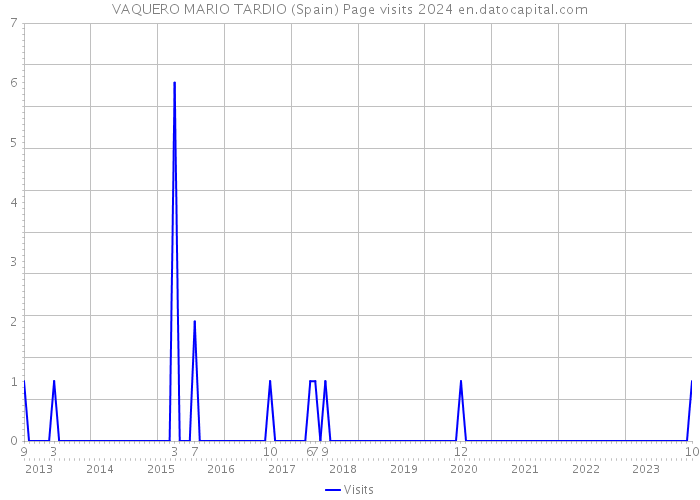 VAQUERO MARIO TARDIO (Spain) Page visits 2024 