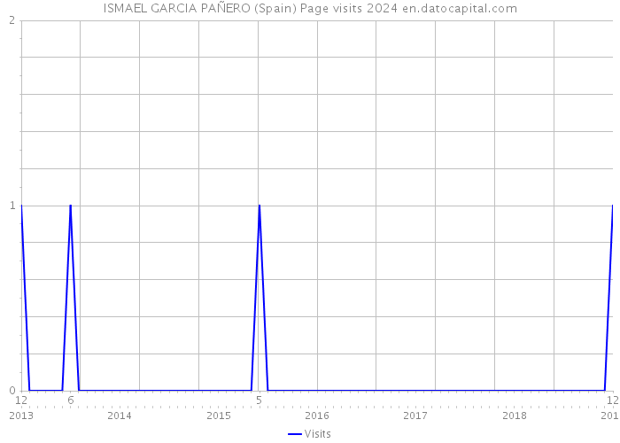 ISMAEL GARCIA PAÑERO (Spain) Page visits 2024 