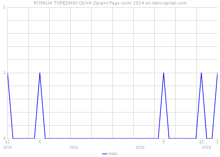 ROSALIA TOREZANO OLIVA (Spain) Page visits 2024 