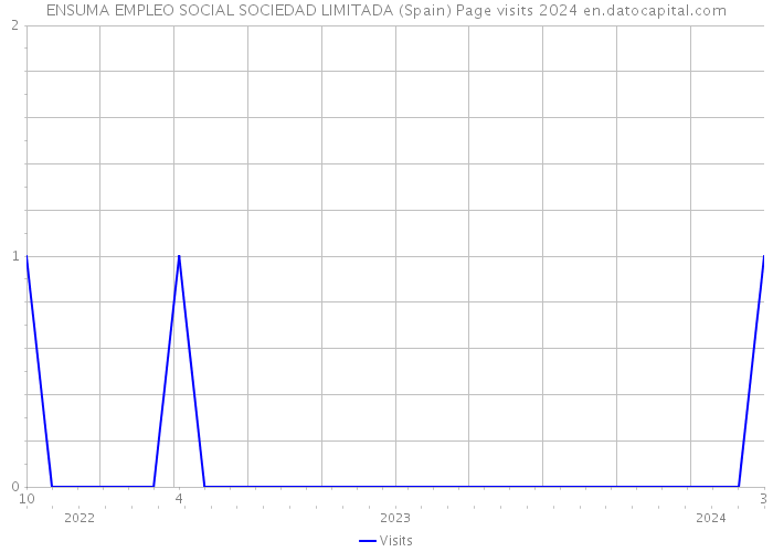 ENSUMA EMPLEO SOCIAL SOCIEDAD LIMITADA (Spain) Page visits 2024 