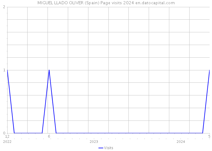 MIGUEL LLADO OLIVER (Spain) Page visits 2024 