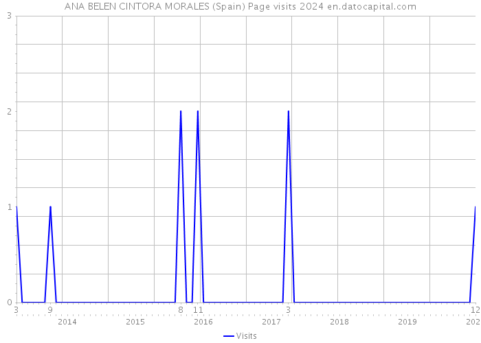 ANA BELEN CINTORA MORALES (Spain) Page visits 2024 