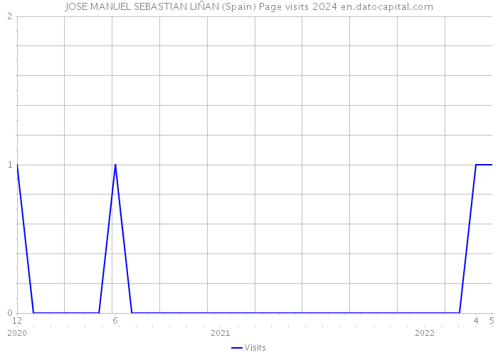 JOSE MANUEL SEBASTIAN LIÑAN (Spain) Page visits 2024 