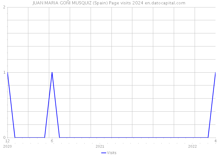 JUAN MARIA GOÑI MUSQUIZ (Spain) Page visits 2024 