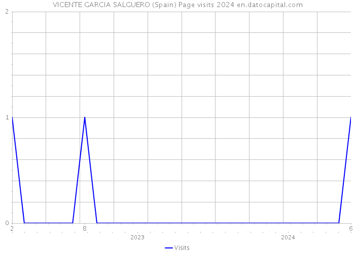 VICENTE GARCIA SALGUERO (Spain) Page visits 2024 