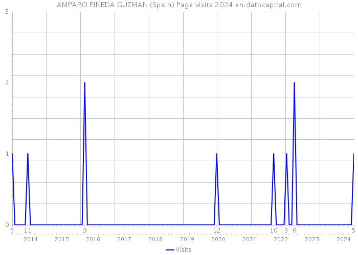 AMPARO PINEDA GUZMAN (Spain) Page visits 2024 