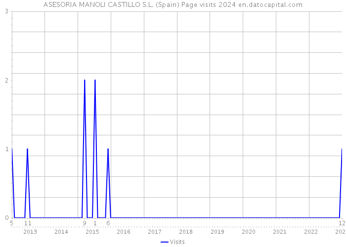 ASESORIA MANOLI CASTILLO S.L. (Spain) Page visits 2024 