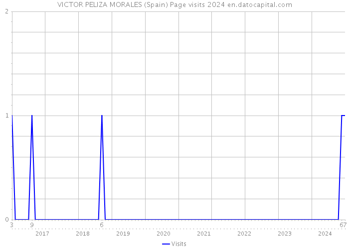 VICTOR PELIZA MORALES (Spain) Page visits 2024 