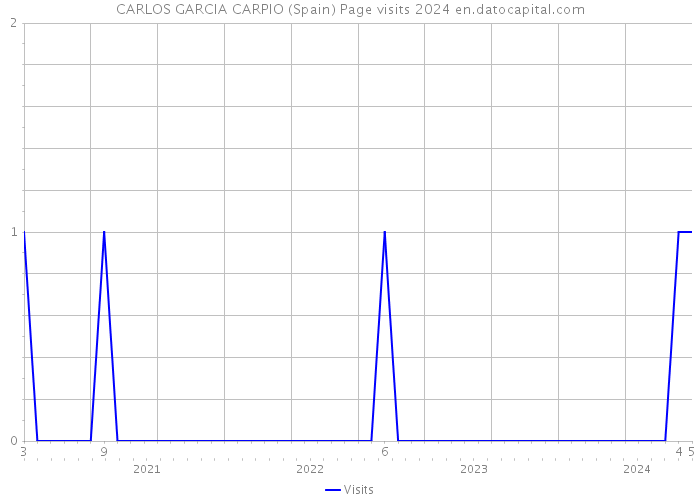 CARLOS GARCIA CARPIO (Spain) Page visits 2024 