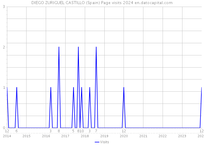 DIEGO ZURIGUEL CASTILLO (Spain) Page visits 2024 