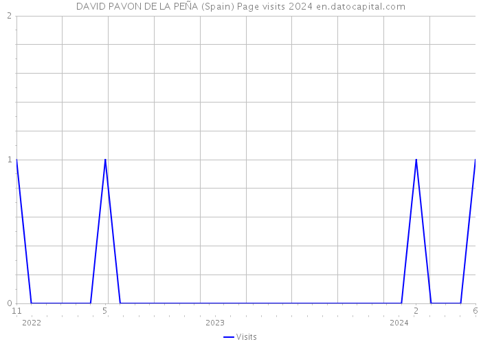 DAVID PAVON DE LA PEÑA (Spain) Page visits 2024 