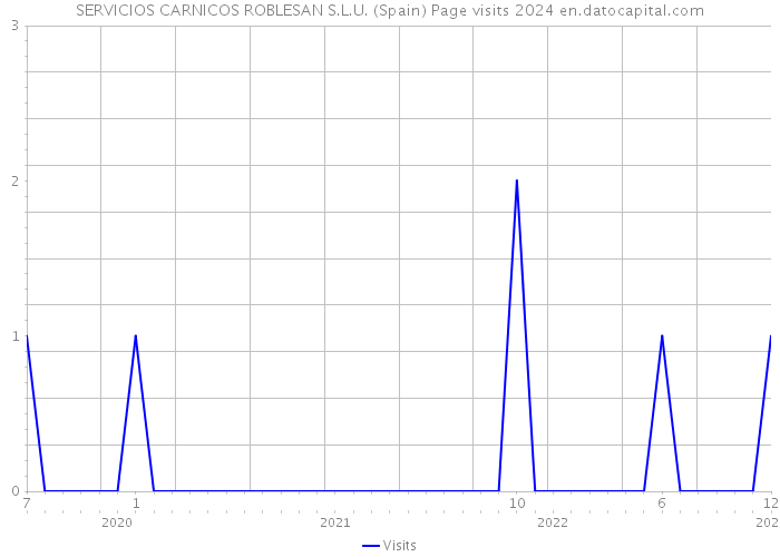 SERVICIOS CARNICOS ROBLESAN S.L.U. (Spain) Page visits 2024 
