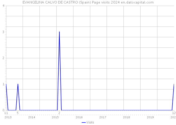 EVANGELINA CALVO DE CASTRO (Spain) Page visits 2024 