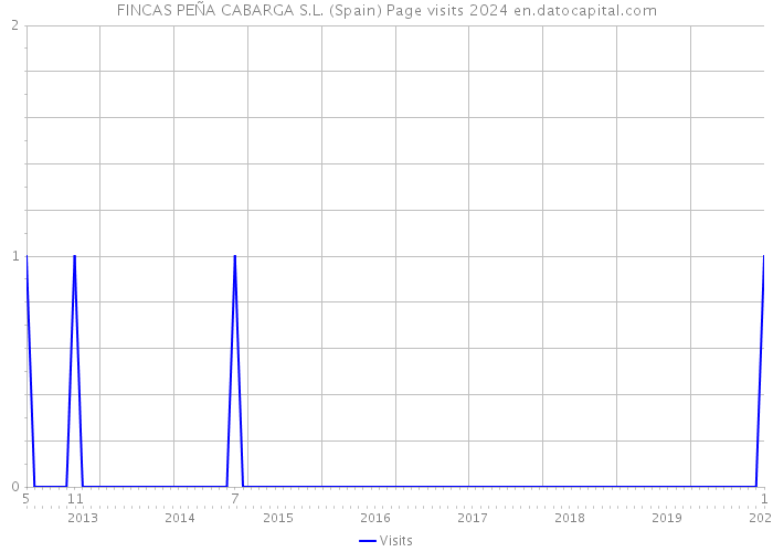 FINCAS PEÑA CABARGA S.L. (Spain) Page visits 2024 