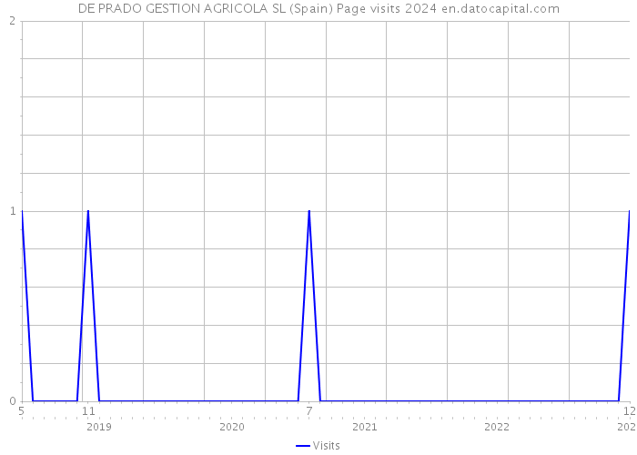 DE PRADO GESTION AGRICOLA SL (Spain) Page visits 2024 