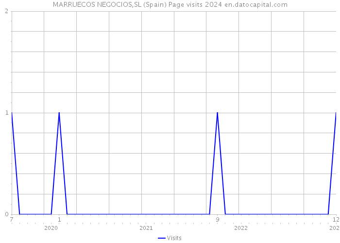 MARRUECOS NEGOCIOS,SL (Spain) Page visits 2024 