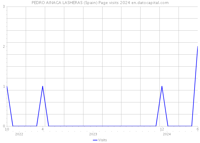 PEDRO AINAGA LASHERAS (Spain) Page visits 2024 