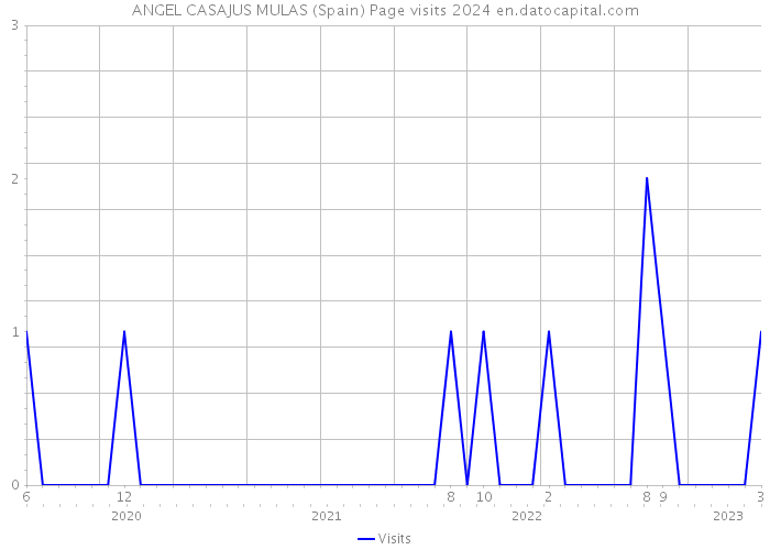 ANGEL CASAJUS MULAS (Spain) Page visits 2024 